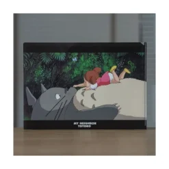 A4 Size Clear Folder On The Tummy - My Neighbour Totoro