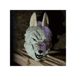 3D Character Magnet -Princess Mononoke