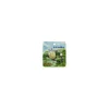 Mini Magnet Set Totoro Ride On Wind-My Neighbor Totoro