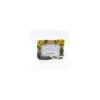 Photo Frame Summer - My Neighbor Totoro