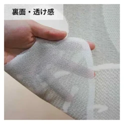 Transparent Japanese Curtain Totoro - My Neighbor Totoro
