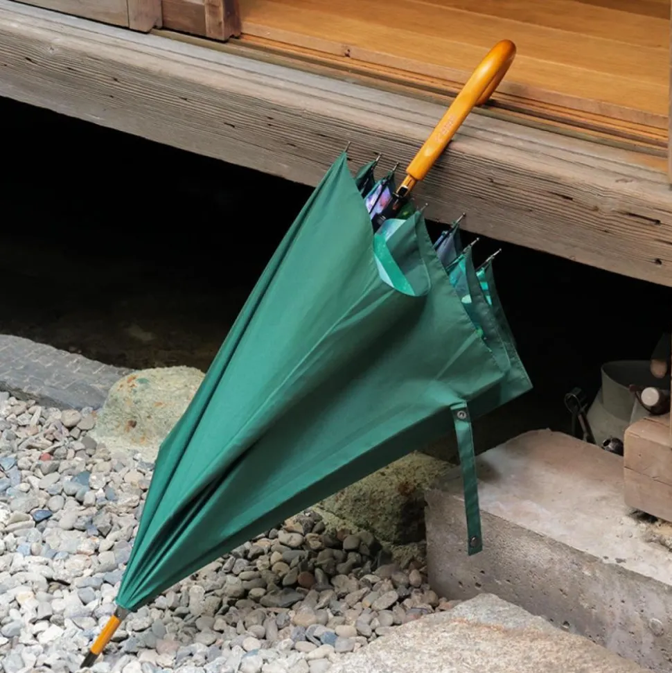 Umbrella Mysterious Encounter - My Neighbor Totoro